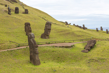 Moaïs - Rano raraku