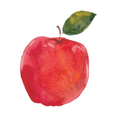 watercolor apple