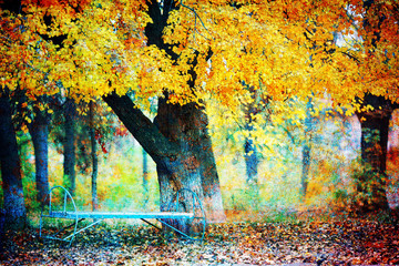 Naklejka na ściany i meble autumn landscape with a tree with yellow leaves