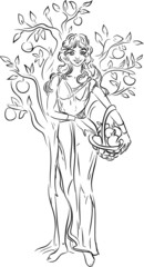Sketch of girl with basket of apples