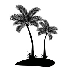 Silhouette of palm trees - 78856031