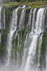 Fototapeta premium Chute d'Iguazu