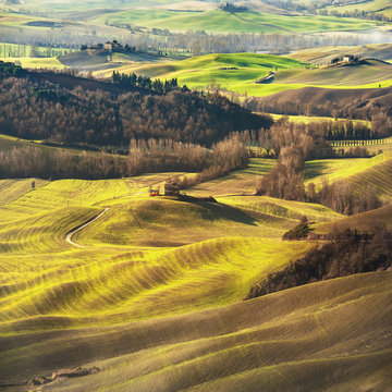 Fantastic scenery painted light in Tuscany with long shadows
