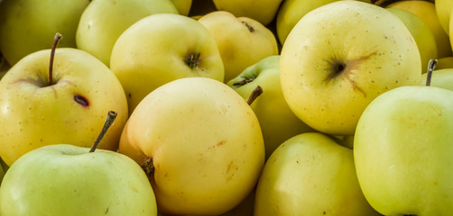 Yellow Apple Background