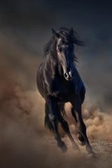 Beautiful black stallion run in desert dust against sunset sky