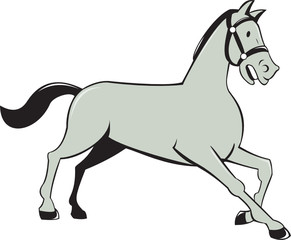 Horse Trotting Side Cartoon Isolated