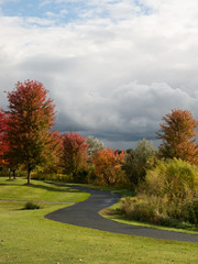 Winding path in a park under cloudy sky