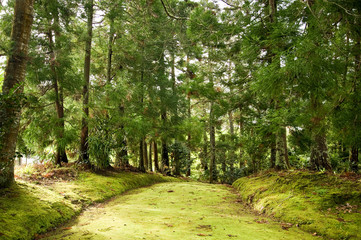 Fototapeta premium Terra Nostra Park