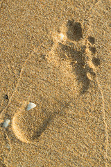 Footprints