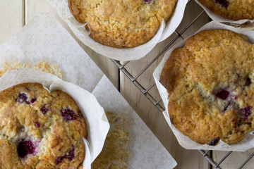 Raspberry Muffins from Above on Rack