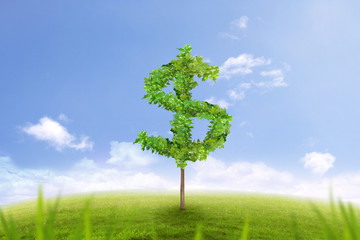 tree in the shape of dollar sign, financial success