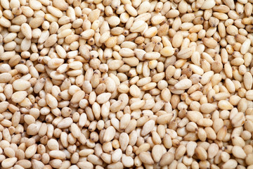 White sesames