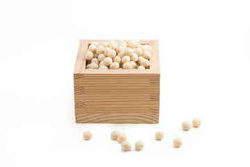 Japanese soybeans also known as Daizu