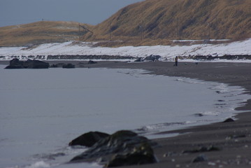 冬の砂浜を散歩する人