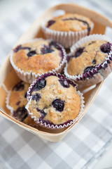 Heidelbeer Muffins