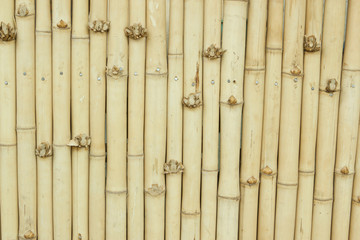 Bamboo Wall