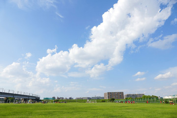 Obraz premium 青い空と緑 芝生のグランドイメージ