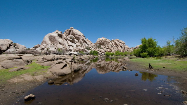 Joshua Tree Park - Barker Dam