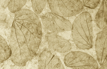 Natural leaves paper texture closeup vintage style