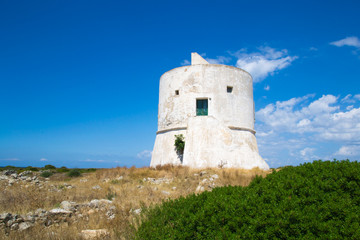 Fototapeta na wymiar ancient coastal tower sighteen