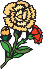 카네이션이미지