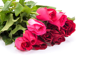 Red rose isolated on white background.