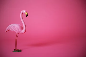 Foto op Aluminium Roze flamingo in studio © sanneberg