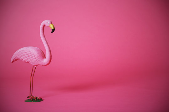 Fototapeta Pink flamingo in studio