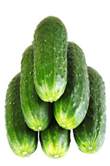 Fresh cucumbers stacked in a pile. Isolated.