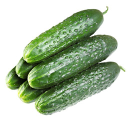 Fresh cucumbers stacked in a pile. Isolated.