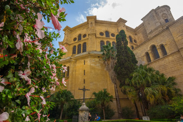 Fototapeta na wymiar Gardens of the Cathedral of Malaga, Spain