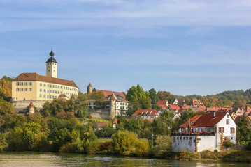 Fototapeta na wymiar The castle on the river Neckar,Germany