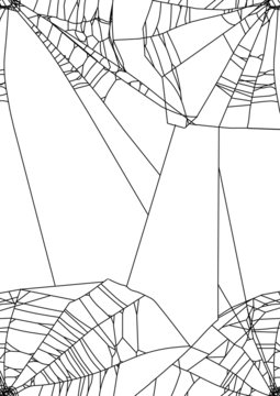 black spider webs in corners on white