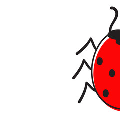 Half ladybug isolated