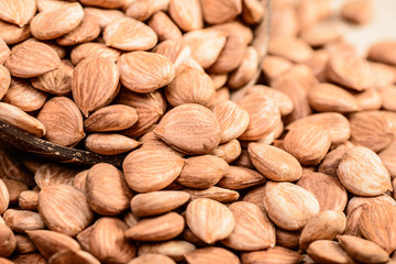 apricot kernels on the wooden board
