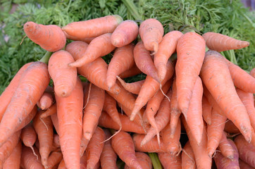 pile carrots