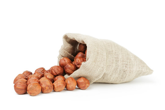 Fresh peeled hazelnuts in sack bag isolated