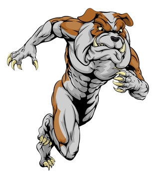 Bulldog sports mascot running