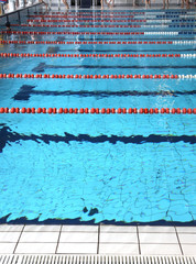 swimming pool with blue water and the swimming lanes