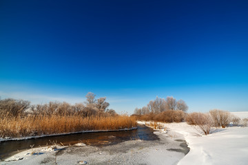 Trees covered with hoarfrost on the banks of a frozen river.