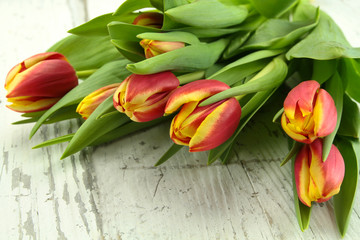 tulipes