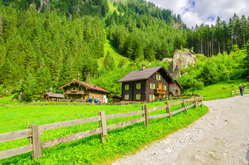 Country road leading to the alpine houses, , Zillertal, Austria