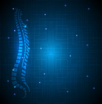 Human vertebral column abstract blue background with light lines