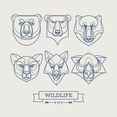 Fototapeta premium Animals linear art icons. Vector illustration