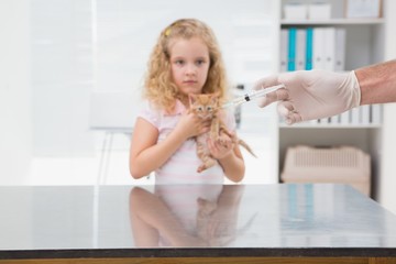 Veterinarian doing injecting at a cute cat