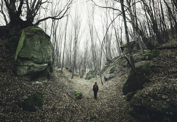 man on dark forest path with twisted trees
