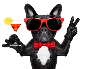 Selbstklebende Fototapete Lustiger Hund Cocktailparty Hund