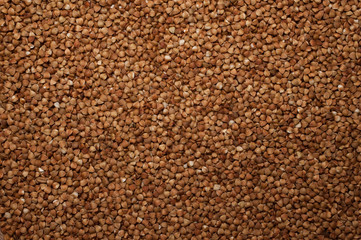 buckwheat seed background close up