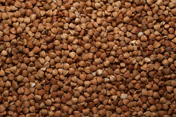 buckwheat seed background close up