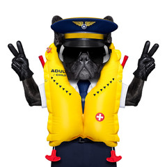 captain cockpit airline dog